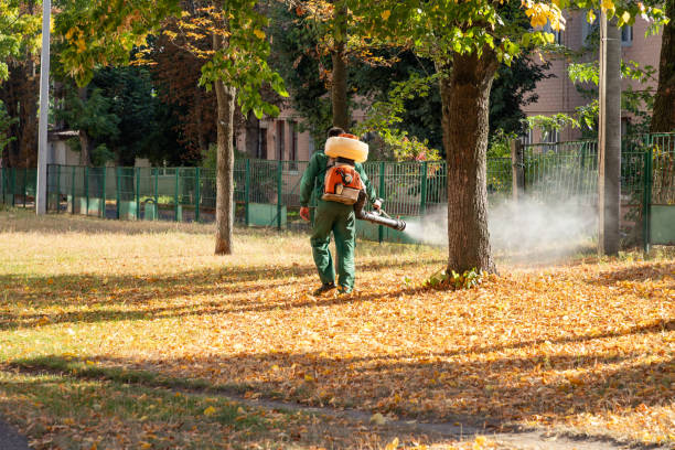 Best Rodent Control Near Me  in Five Points, OH